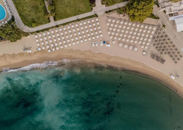 Hvd Nympha (adults Only)