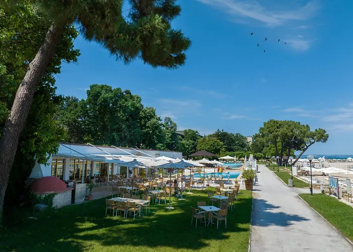 Hvd Nympha (adults Only)